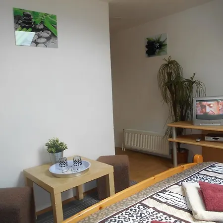 Pensjonat A Restaurant Vesna - Ceske Svycarsko 2*