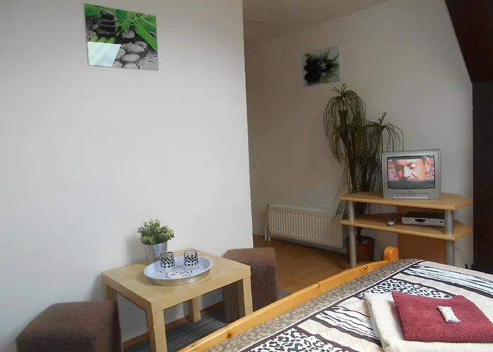 ゲストハウス A Restaurant Vesna - Ceske Svycarsko 2*